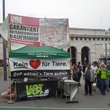 Stürmische Bedingungen am Erntedankfest der ÖVP in Wien