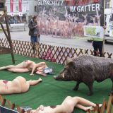 VGT fordert nun auch in Linz: keine Zucht von Tieren für die Jagd in OÖ