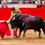 Mallorca bald ohne Stierkampf