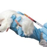 Tierversuche: bitte helfen Sie mit, eine strenge Prüfung für Tierversuche zu retten!