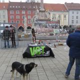 VGT-Aktion heute in Wr. Neustadt: Forderung nach Verbot Gatterjagd wird immer lauter