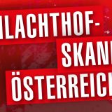 Einladung zur Pressekonferenz: Der Schlachthofskandal erschüttert Oberösterreich