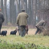 Mensdorff-Pouilly-Angriff auf Tierschützerin: VGT legt Beweisvideo vor