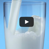 Das eiskalte Geschäft mit der Milch: So fördert der Milchkonsum Tiertransporte