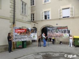 DemonstrantInnen vor dem Amt der Salzburger Landesregierung