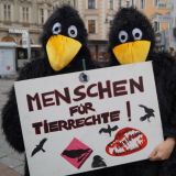 Demo gegen Krähenmassaker in Oberösterreich