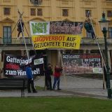 Morgen: 6m-Dreibeine mit Riesentransparent gegen Gatterjagd am Stephansplatz in Wien