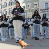 Einladung: Freitag 20. Mai Mahnwache mit 40 toten Zuchtfasanen in Graz