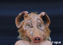 Aktivist mit Schweinemaske