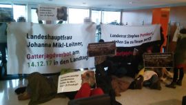 AktivistInnen halten Potest-Banner bei Bürobesetzung