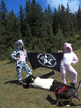 AktivistInnen in Tierkostümen mit einem Banner auf einer Waldwiese