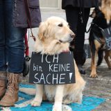 Gestern Verhandlung Straflandesgericht Graz: Jäger erschoss 2 Hunde - Tierquälerei