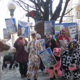 100 bunt verkleidete TierschützerInnen protestierten heute gegen geplantes Tierschutzgesetz