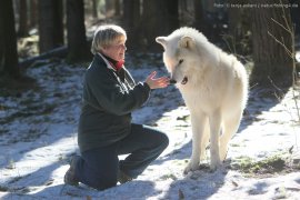Elli Radinger mit einem Wolf im Winter im Wald
