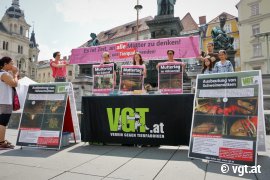 Aktivist_innen halten Schilder und Plakate