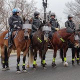 Einladung zur Medienaktion: Keine Pferde zur Polizei!