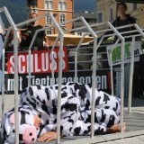 Schockierte Passant_innen in Innsbruck – 19.000 Kälber pro Jahr von Tirol ins Ausland!