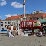 Erschütterte Passant_innen bei Kälbertransport-Protest in Wiener Neustadt