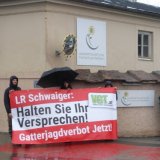 Landesrat Schwaiger in Landwirtschaftsschule: Tierschutz protestiert gegen Gatterjagd