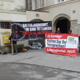 Salzburg letztes Bundesland ohne Gatterjagdverbot – trotz Versprechens