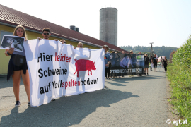 Aktivist_innen vor Schweinefabrik 2
