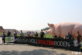 Aktivist_innen vor Schweinefabrik 3