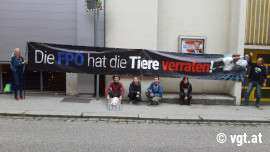 Aktion gegen Vollspaltenböden Linz