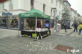 Infostand am Wiener Neustädter Hauptplatz