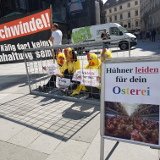 VGT-Osterfestaktion: Schluss mit der Hühnerquälerei bei der Eierproduktion!