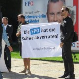 Schon wieder: Tierschützer auf FPÖ-PK mit Forderung Vollspaltenverbot Schweine