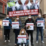 Zum Welttag gegen Tierversuche: Anzahl an Tierversuchen nimmt in Österreich weiter zu