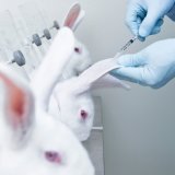 Erfolg! Tierversuche 2018 zurückgegangen