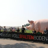 VGT protestiert vor 3 Schweinefabriken mit Vollspaltenboden im Bezirk Leibnitz, Steiermark