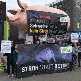 Protest des VGT vor dem FPÖ-Bundeskongress in Graz wegen Schweine Vollspaltenböden