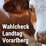 Fragen an die Parteien zur Landtagswahl Vorarlberg 2019