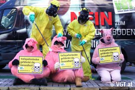 Aktivist_innen stellen einen Vollspaltenboden-Schweinestall nach