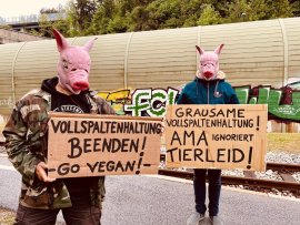 Protestkundgebung mit Schweinemasken in Tirol