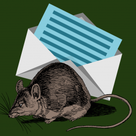 Illustration einer vor einem geöffnetem Broief sitzende Ratte