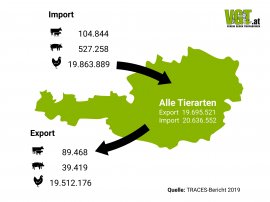 Grafik Import-Export