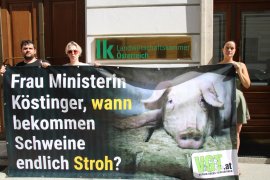Demonstration vor der österr. Landwirtschaftskammer 1