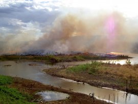 brennender Regenwald Brasilien