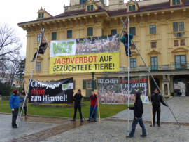 Demo vor Schloss Esterhazy