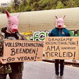 Nach Corona-Isolation: VGT-Demos gegen Schweine-Vollspaltenboden haben begonnen