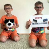 Schilderaktion: Kinder gegen Tiertransporte!