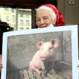 Heute erneut Protest vor Landwirtschafts-Ministerium: Verbot Vollspaltenboden Schweine