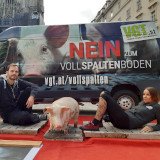 VGT präsentiert Video: 2 Menschen 24 Stunden auf Schweine-Vollspaltenboden