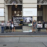 Demo gegen Schweinehaltung auf Vollspaltenboden vor Landwirtschaftsministerium
