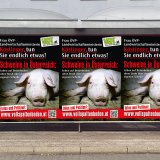Plakate gegen Schweine-Quälerei: Du hast sie möglich gemacht!