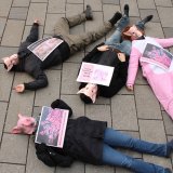 Flashmob in der Wiener Innenstadt: Schweine fallen tot um