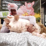 VGT Valentinstags-Aktion auf der Mahü: 90 % der Schweine leben ohne Stroh!